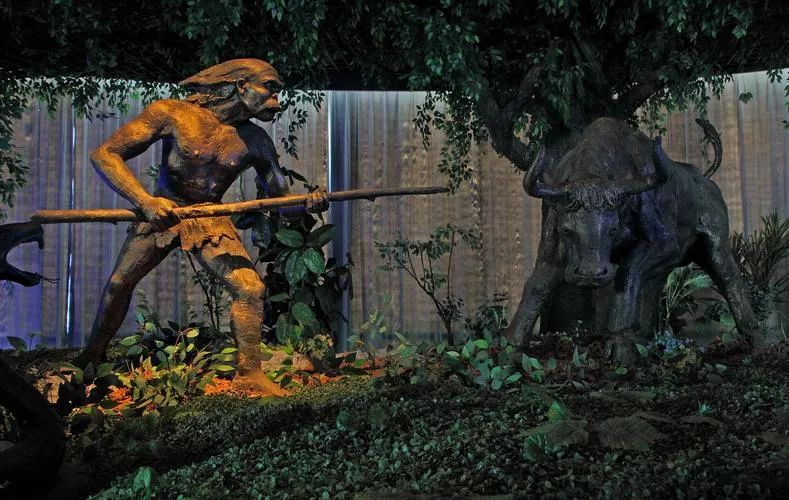 地理长江识图题,长江地理讲解视频