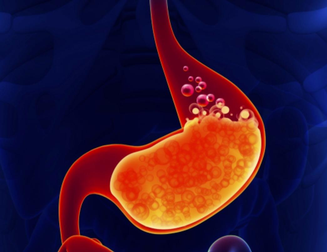 将水蛭放入冰箱还能活,水蛭吸血能钻到人体内并存活吗