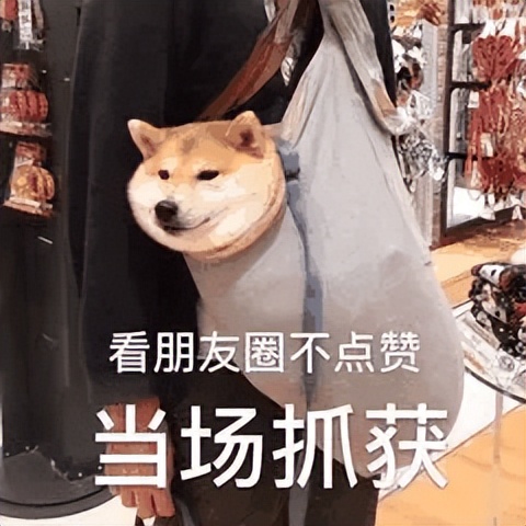 烘焙人发圈五个要点,烘焙干货分享给大家