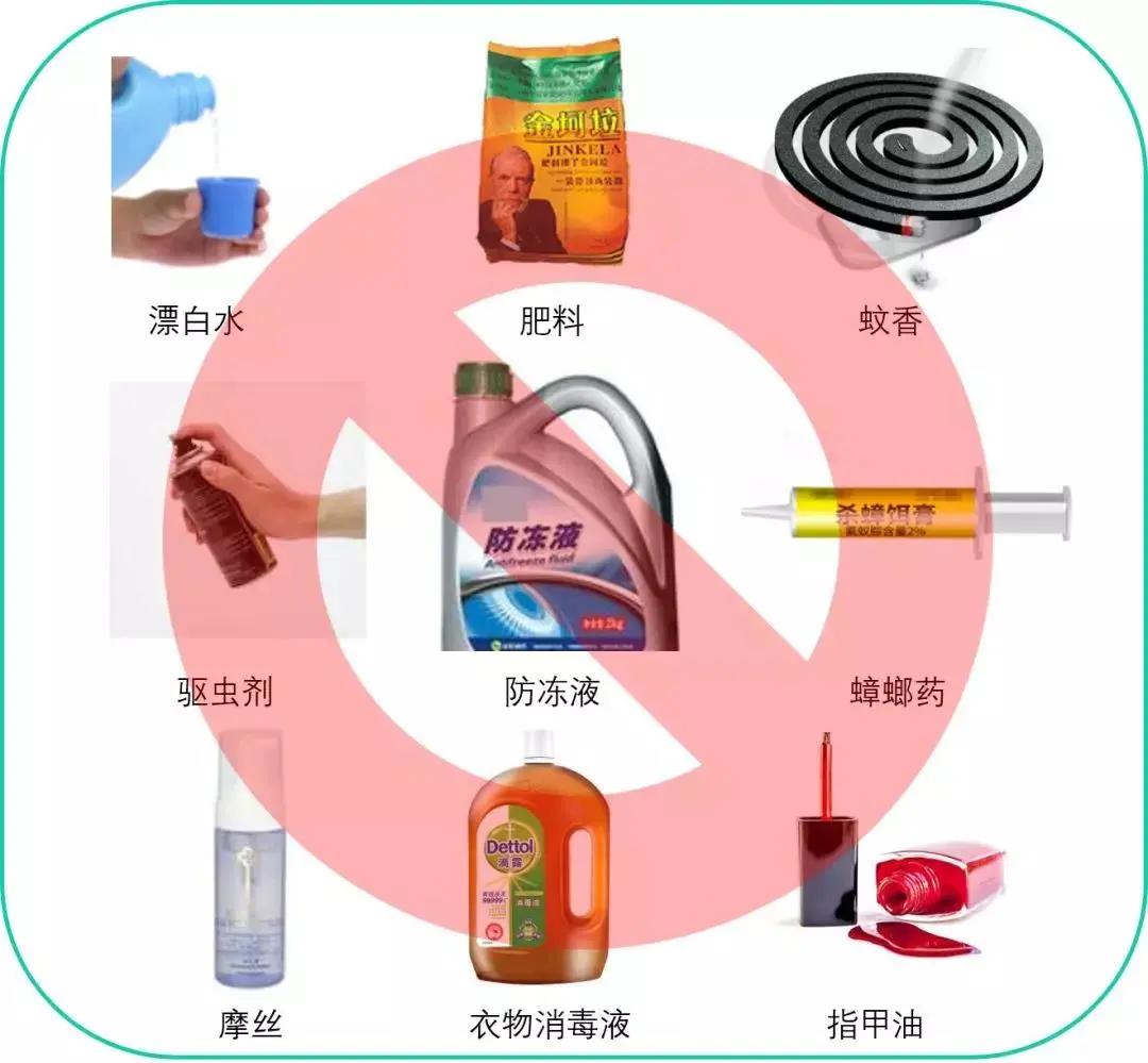 猫咪中毒了该怎么救,猫咪中毒怎么解救