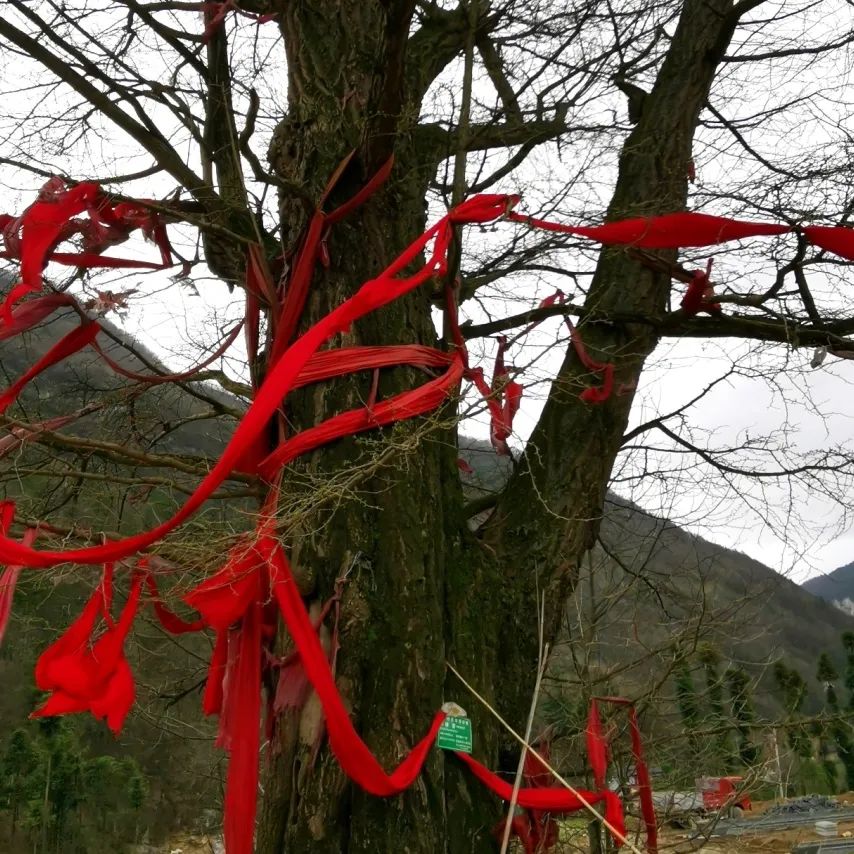 原创散文：梓榔坪像幅水墨画，涓涓的水，柔柔的风，淡淡的香