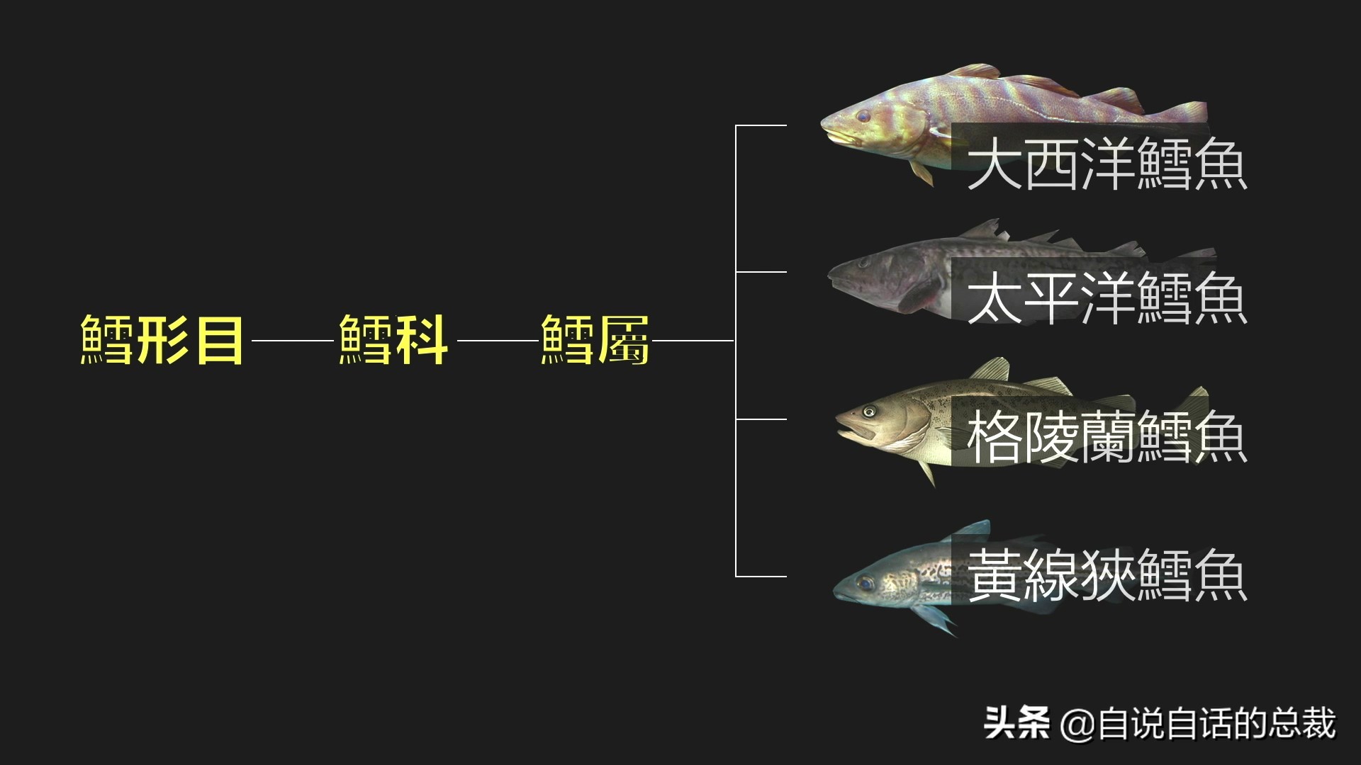 为什么买的鳕鱼段都是粘液,为什么买的鳕鱼那么多水