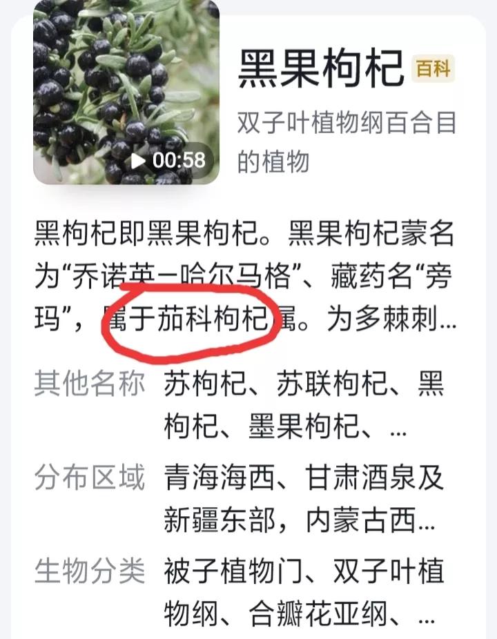 一斤黑枸杞的功效与作用,买的黑枸杞有什么功效