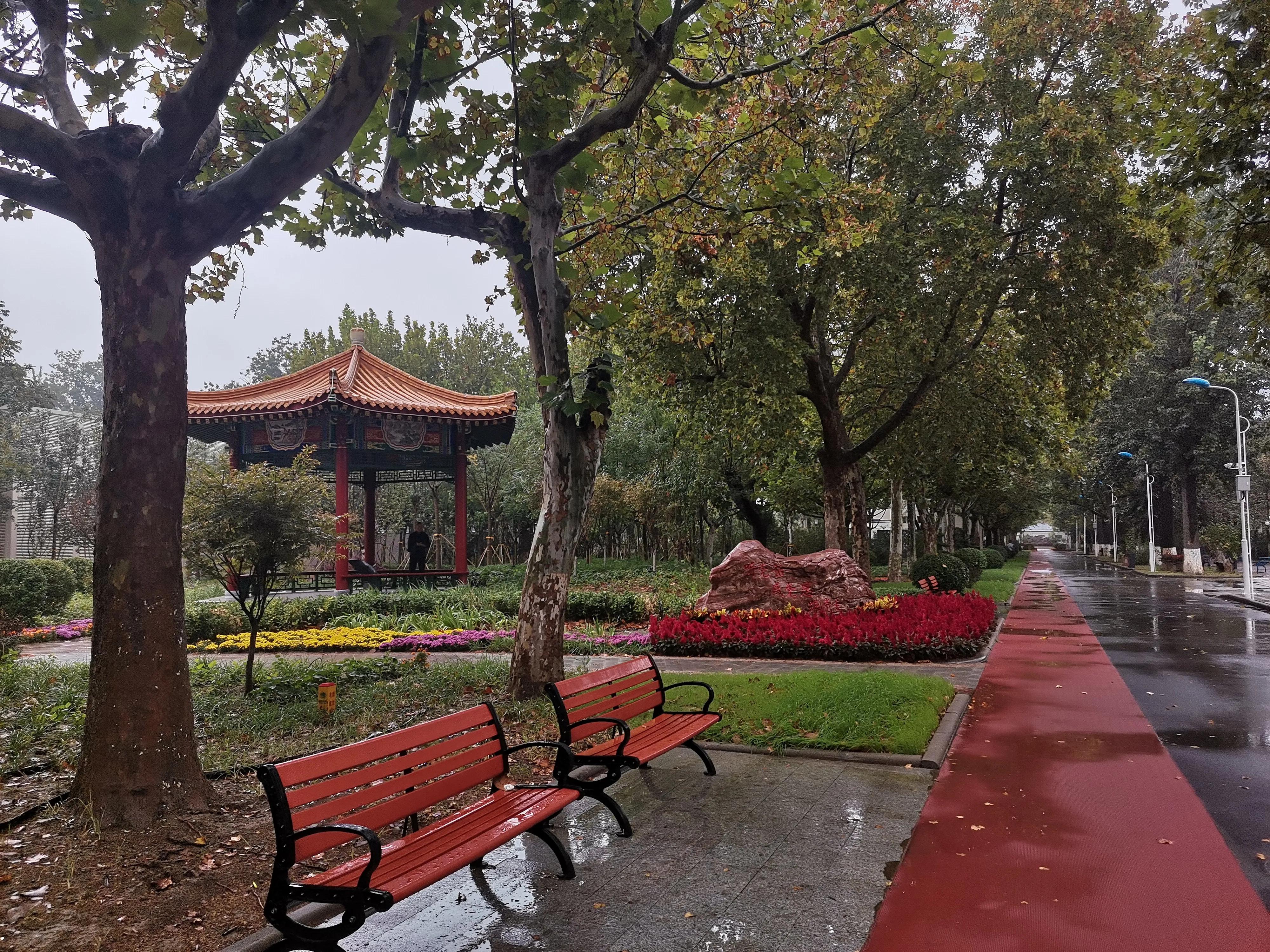 秋雨绵绵凉意浓浓,秋雨绵绵雾茫茫