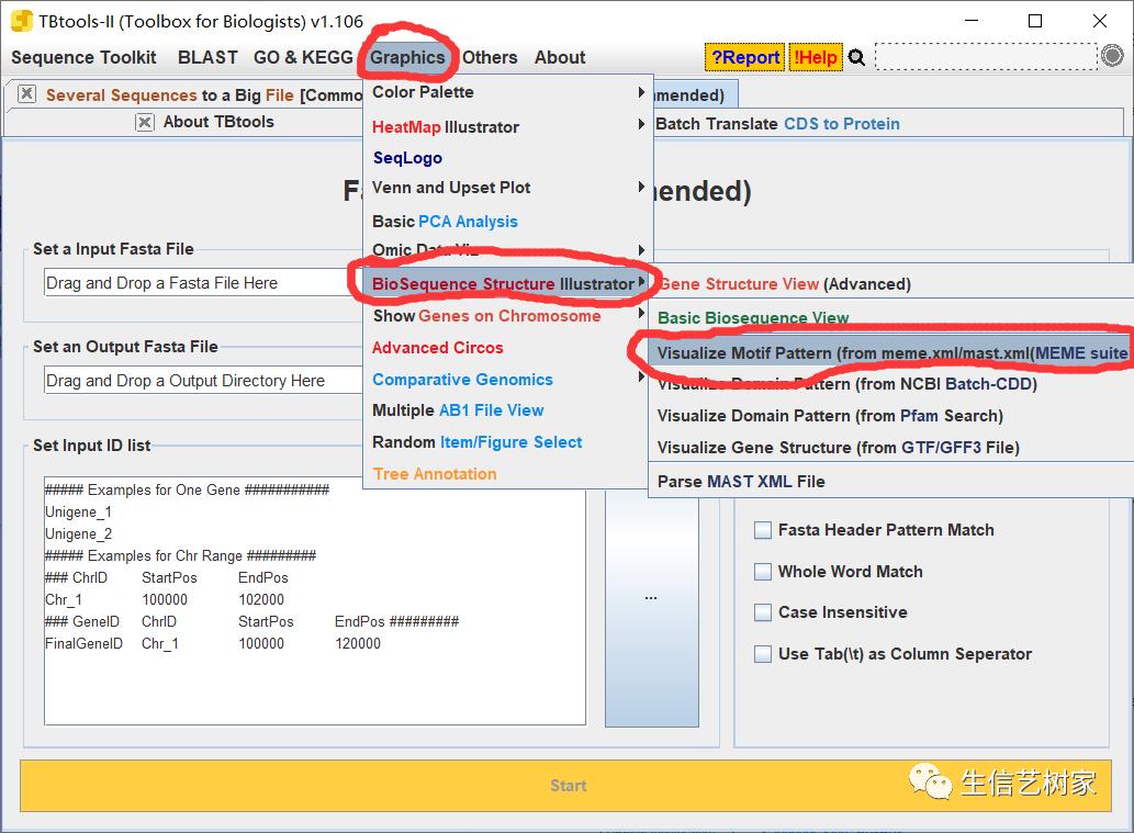 TBtools|基因家族分析,进化树、Motifs、结构域