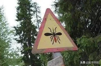 北极圈芬兰城市,芬兰是北欧最穷的国家吗