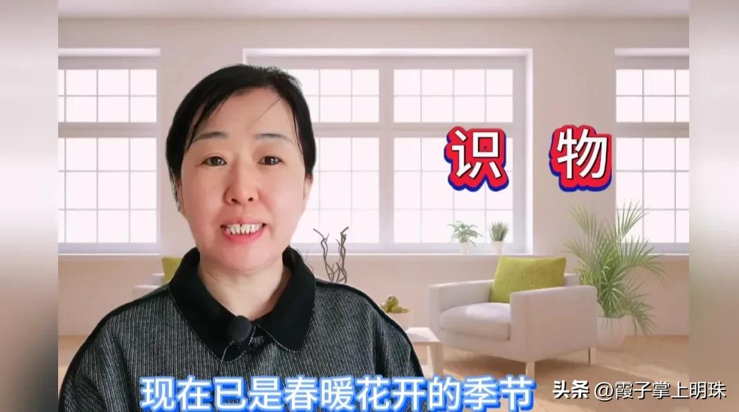 微信只有付款码如何添加好友,微信右上角加号去掉付款码