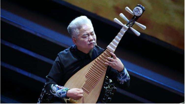 琵琶入门自学教程,自学琵琶免费软件