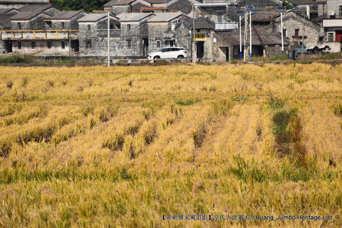 第3078回:广东第一田都斛镇,斗山不一样的烟火