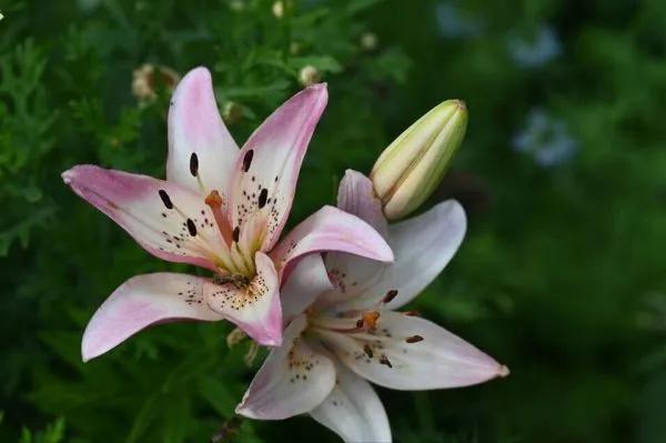 人性的弱点人际关系感悟,看透人性才能处理好人际关系