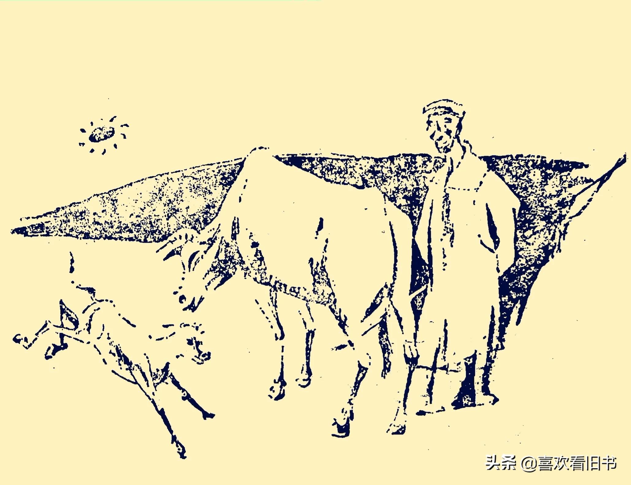 民间故事小白狐报恩,民间故事老黄牛救小黄牛