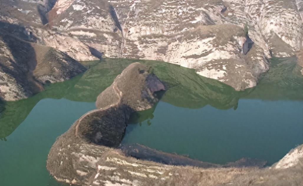 蛇岛生态链惊现老鼠吃蛇,2万条蛇成口粮引关注