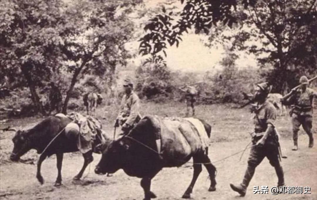 日军兽行:当着老人的面砍下孙子头颅，临走残忍挑出儿媳肚中胎儿