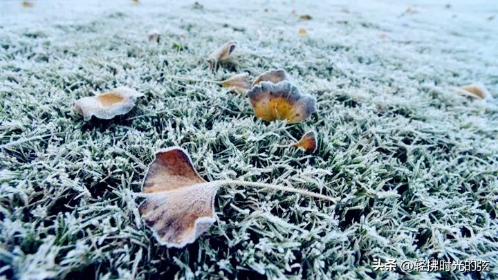 初唐四杰诗十二首,初唐四杰的名篇名句