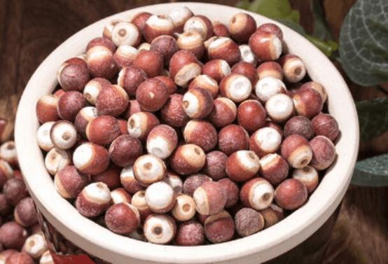 芡实为何说是水中人参,水中人参芡实是什么东西