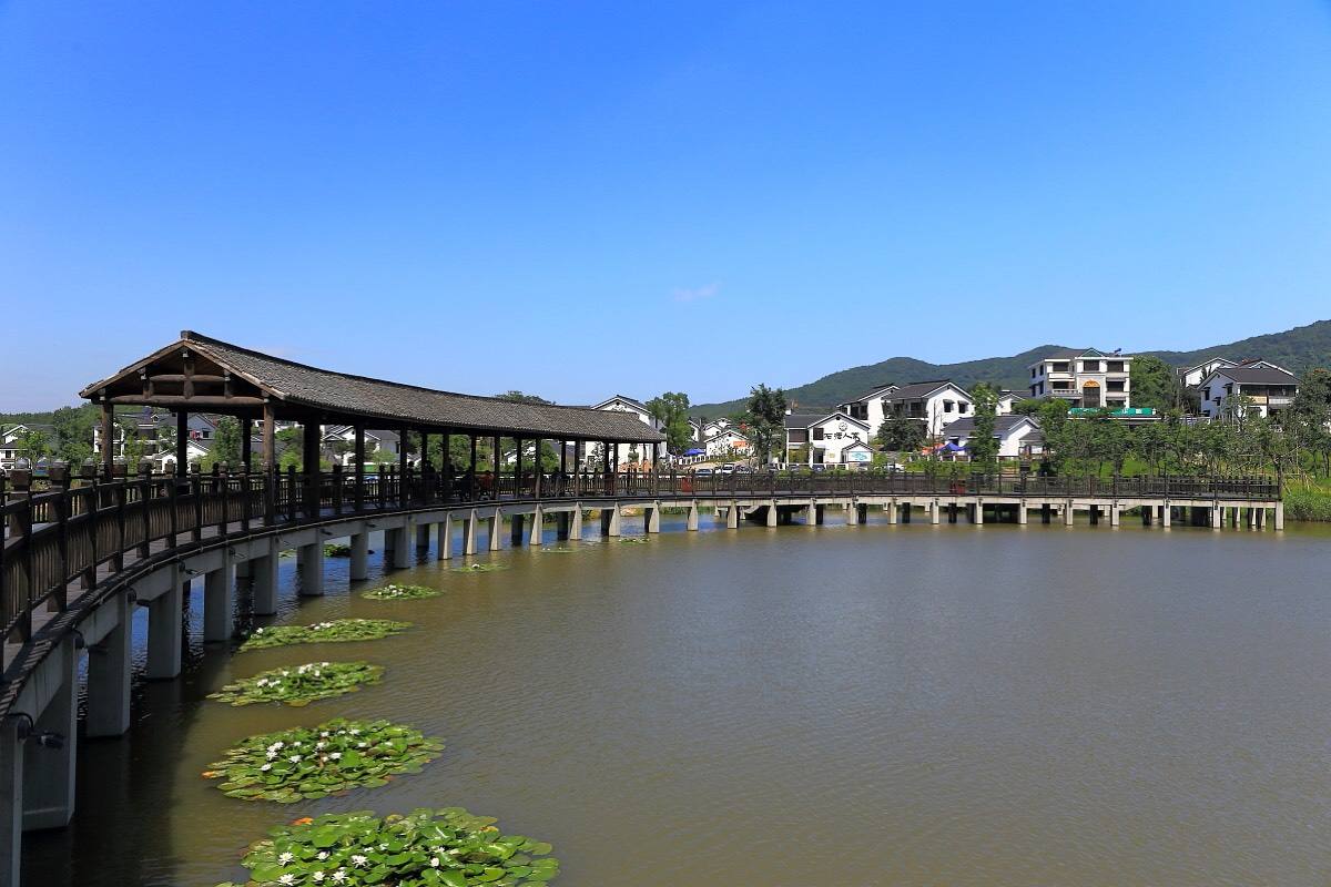 南京春游推荐石塘竹海景区,南京石塘竹海怪坡