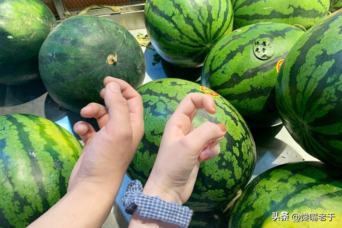 夏天买西瓜别只会拍教你3招,买西瓜要注意的几个点