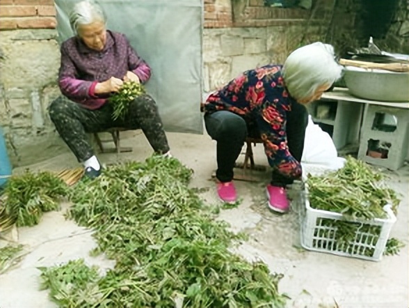 来自塔里木《塔河文苑》：睡着的胡杨