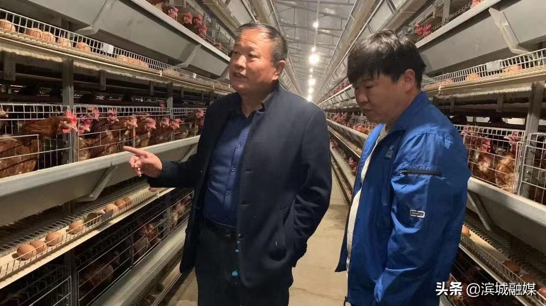 党支部领办合作社如何更好运转,党支部领办合作社亮点