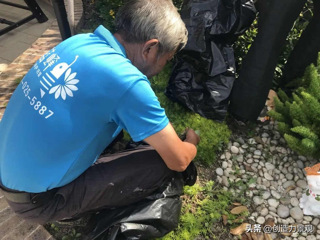 周末回访老客户的文案,回访老客户的主题