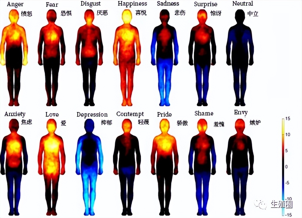 何洁一胎二胎间隔多久,何洁为什么是易孕体质
