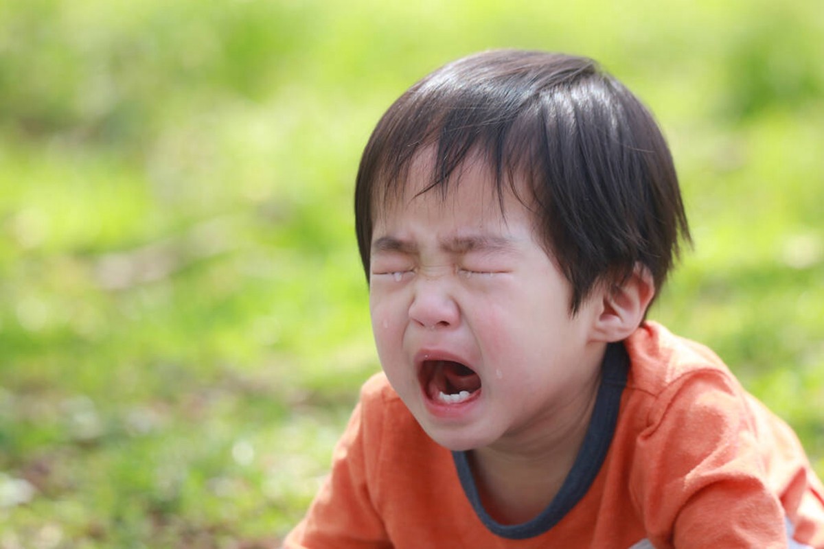 小孩很爱哭天天动不动就哭,动不动就爱哭的小孩很招人烦