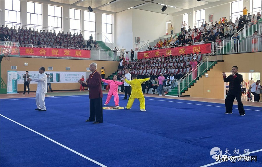 丽江国际武术节,2015年丽江国际武术文化节