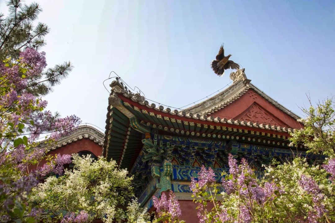 西城印象西平县,西城印象二期