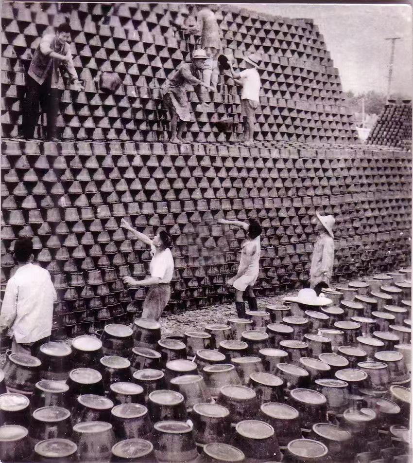 去世7年，留下了宜兴半个多世纪的“光影”