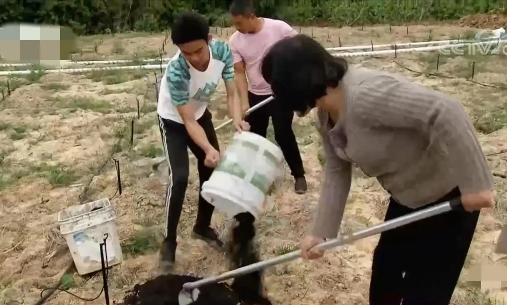 鎵垮寘鑽掑北鐪熷疄鎯呭喌,鑽掑北鑽掑湴鍒╃敤鑷村瘜