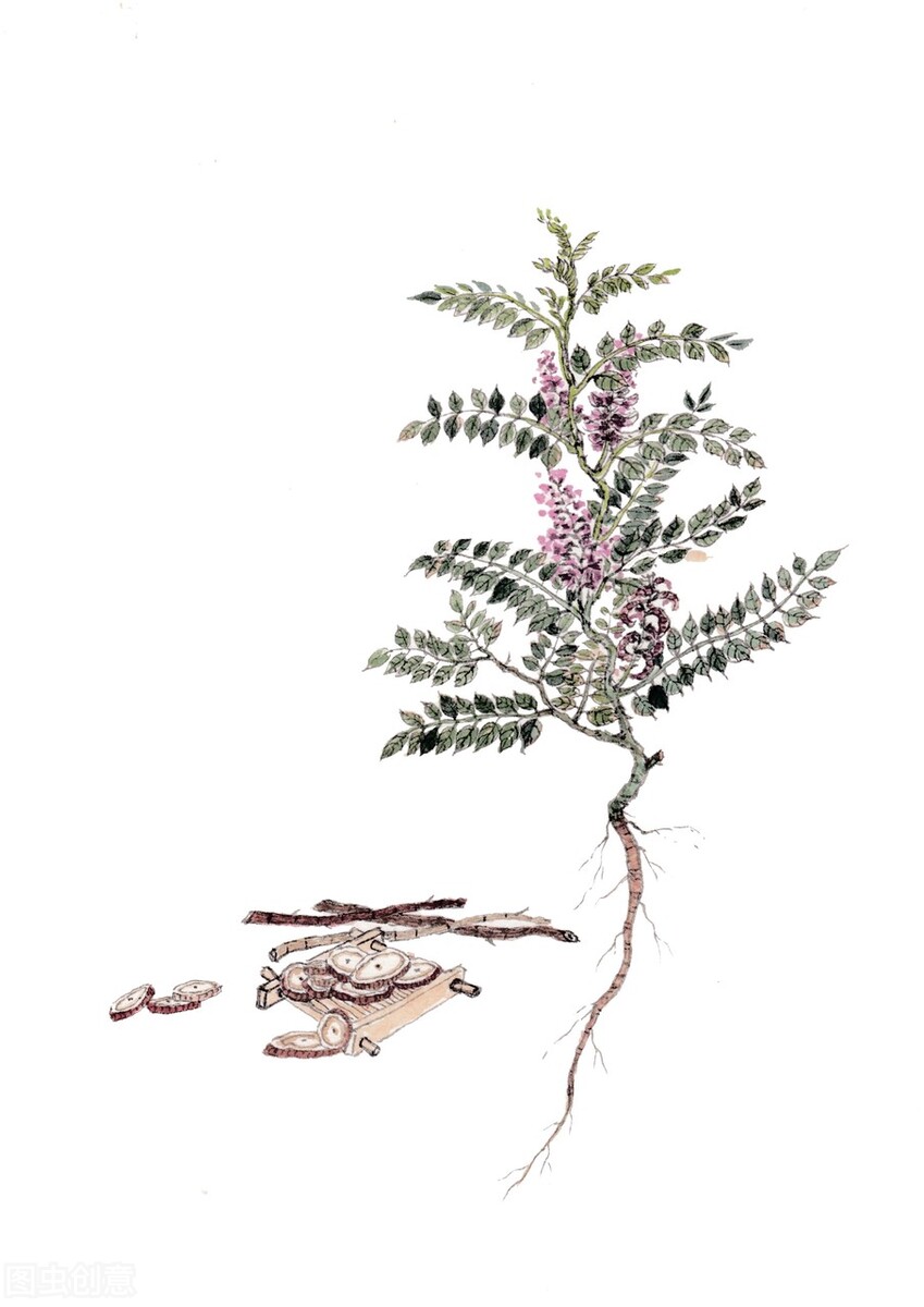 张仲景补心的经典古方！专治心律不齐、早搏心慌，值得用心学习