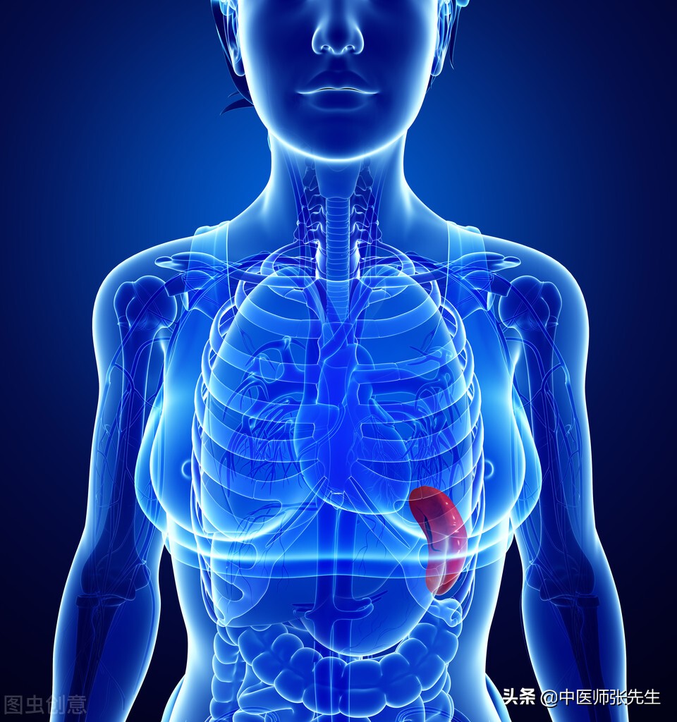 中医治肝脾最好的方子,中医治肝病为什么要先治脾