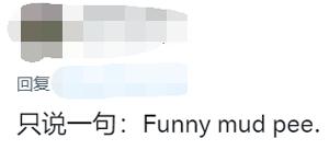 韭菜盒子到底怎么翻译,韭菜盒子到底该怎么翻译