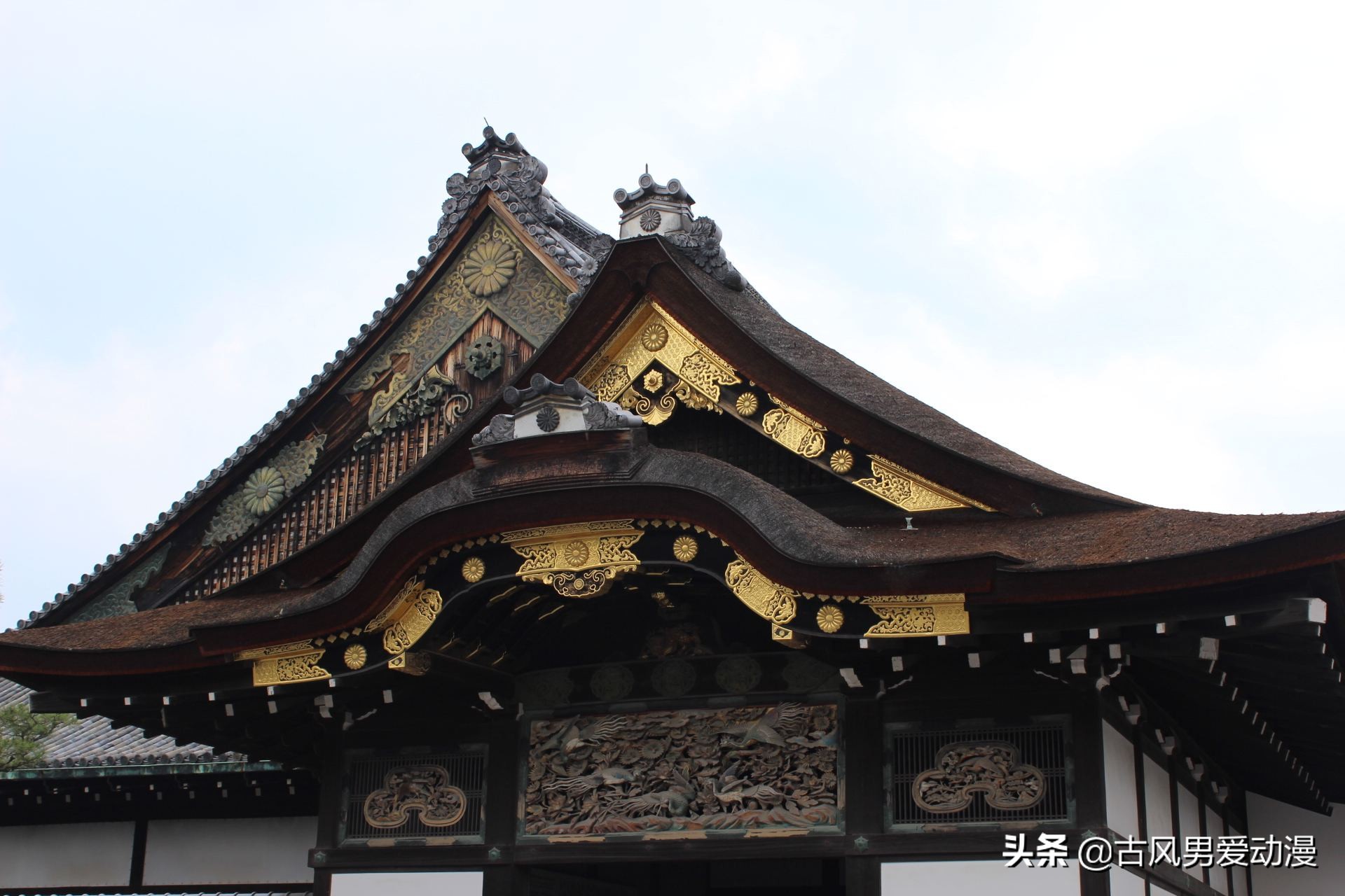 游戏王十二星卡片及效果,游戏王6卡片排行榜