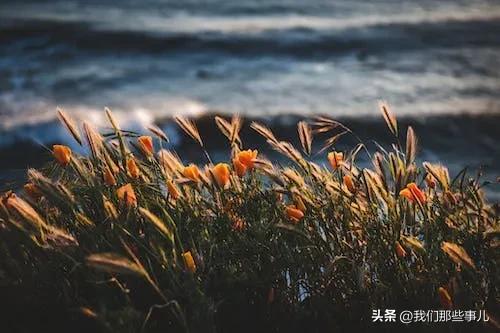 有一种情怀叫做红颜知己,红颜知己有没有一种爱叫永不疲惫