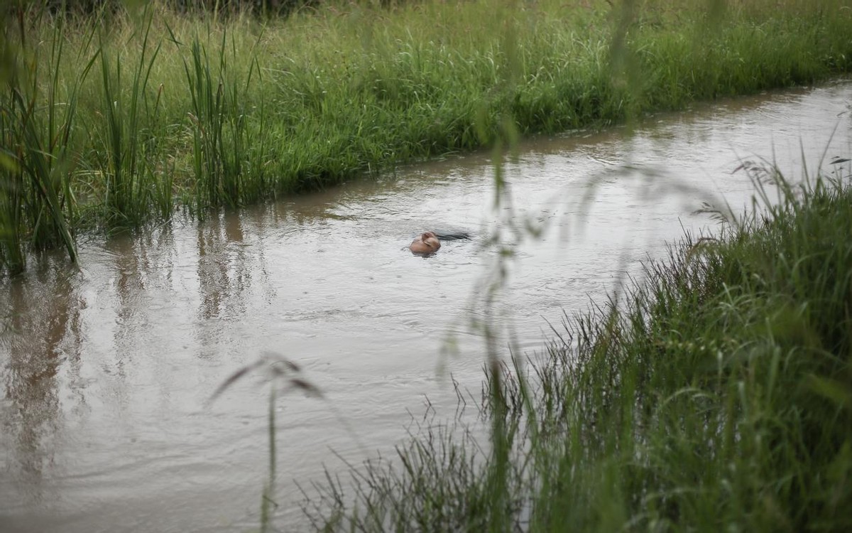 风景后期水墨,风景后期前后对比