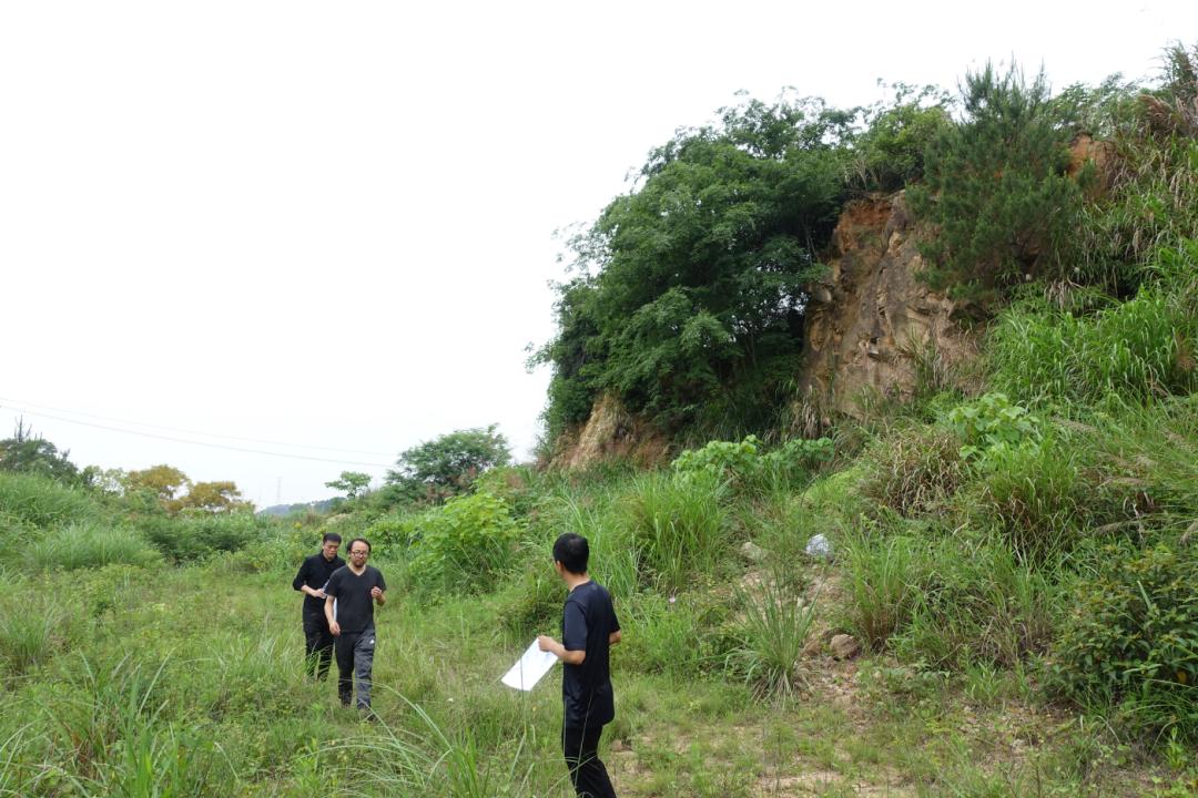 张唐景观手绘,张唐景观作品