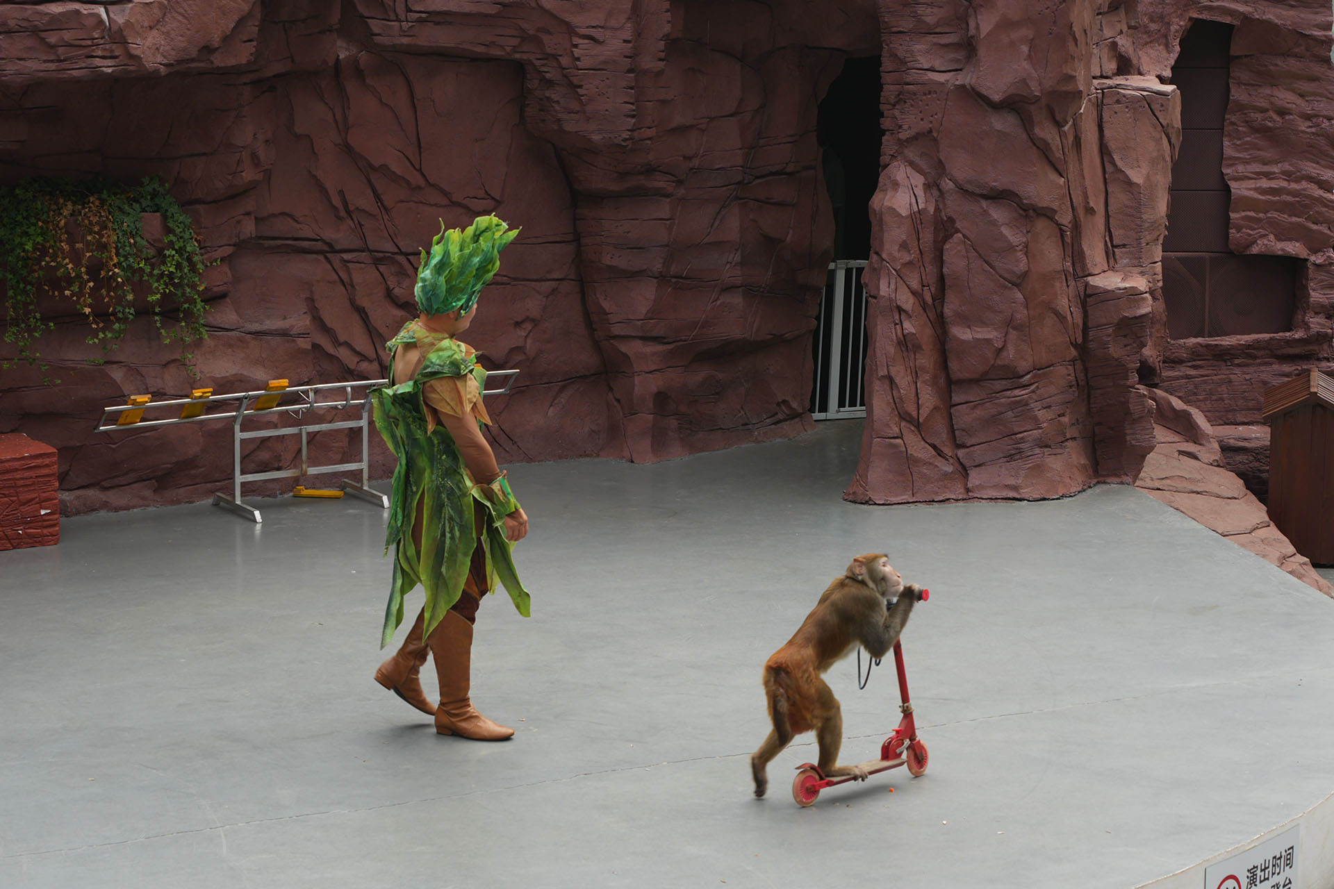 河南焦作一日游最佳路线图,河南焦作云台山游记