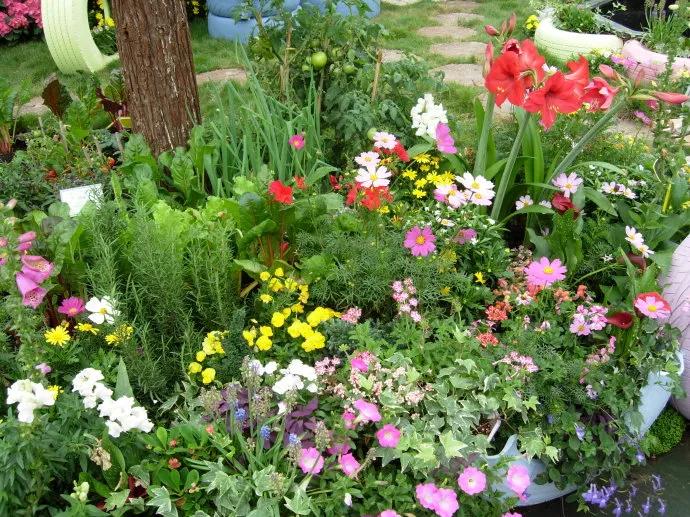 这二十幅极品花卉越看越醉,超好看又耐看的花卉图