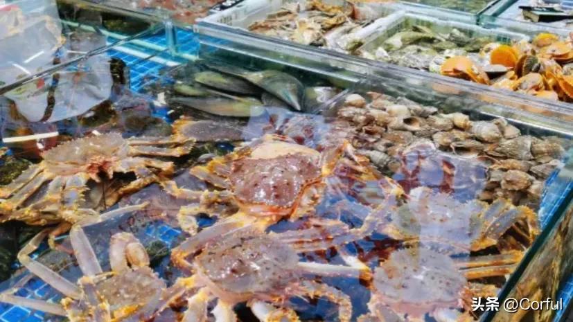 去厦门旅游攻略自由行三天两夜,厦门5日游行程攻略