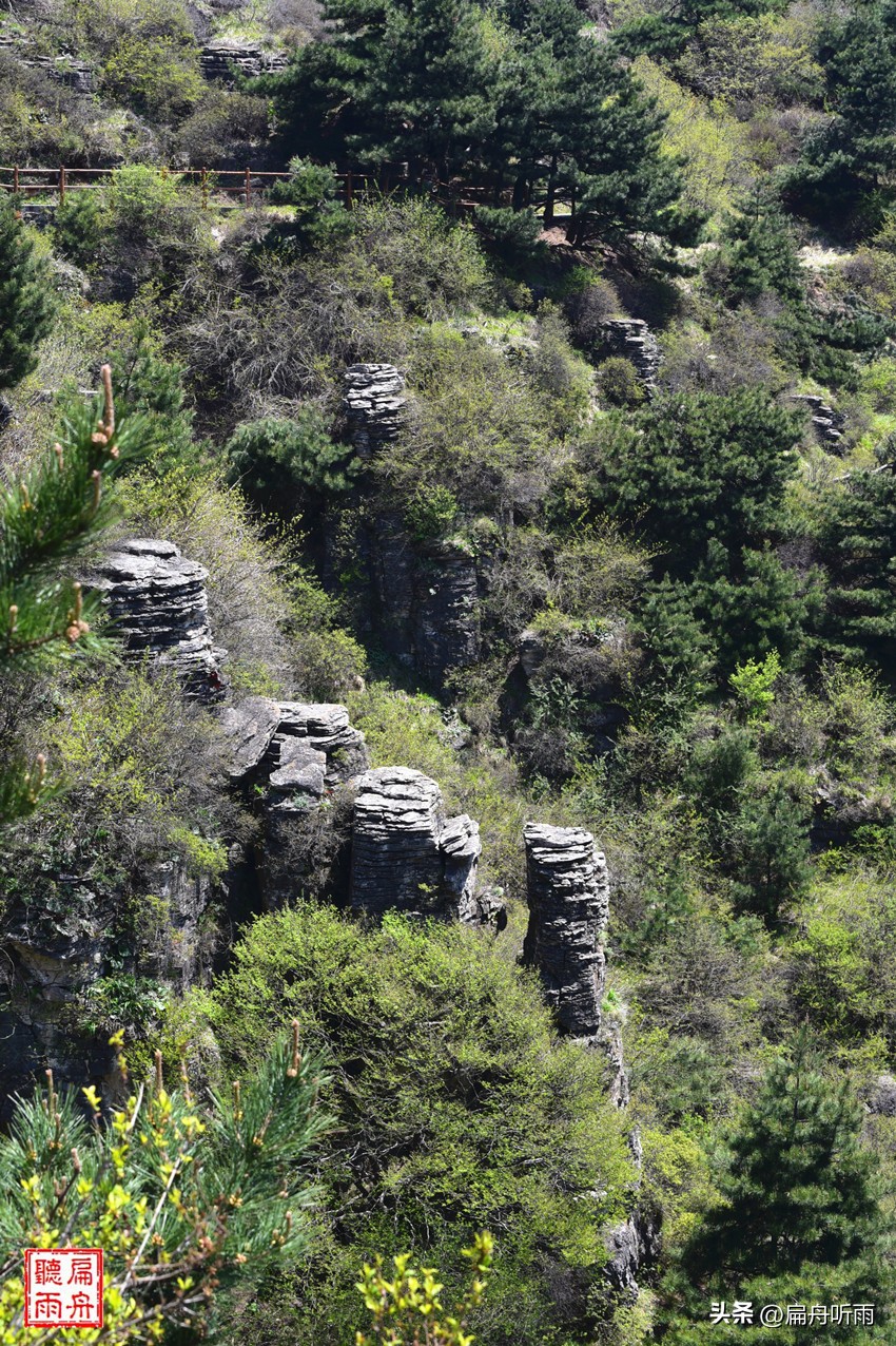 太行王莽岭简介,太行山王莽岭
