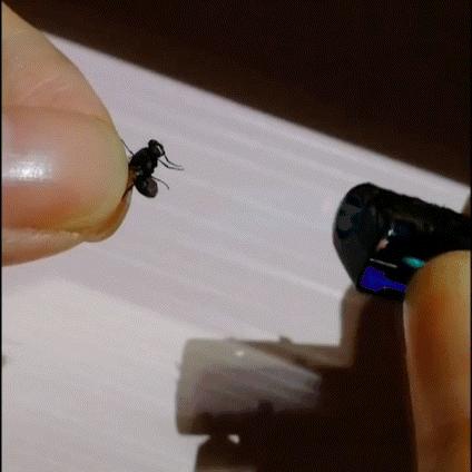 大街上看到的一幕万万想不到,大街上的一幕视频