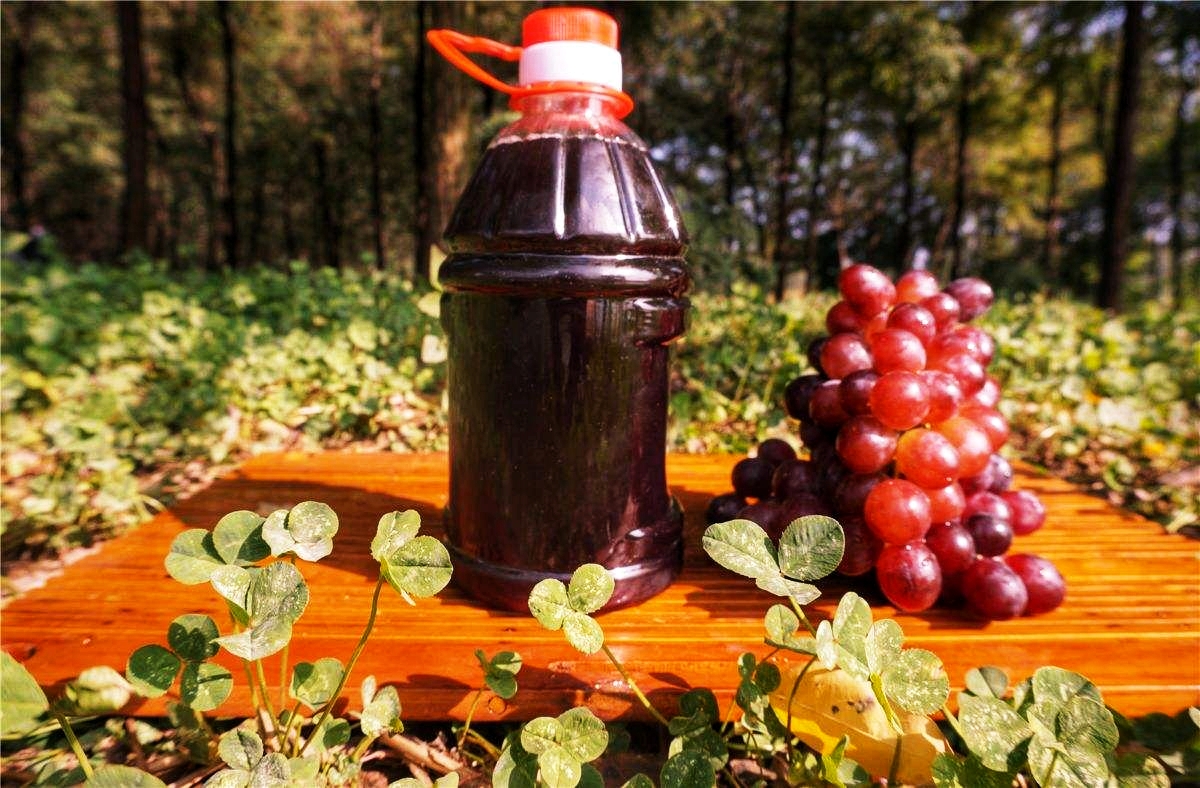 自酿葡萄酒有十年可以喝吗,自酿葡萄酒3年了能喝么