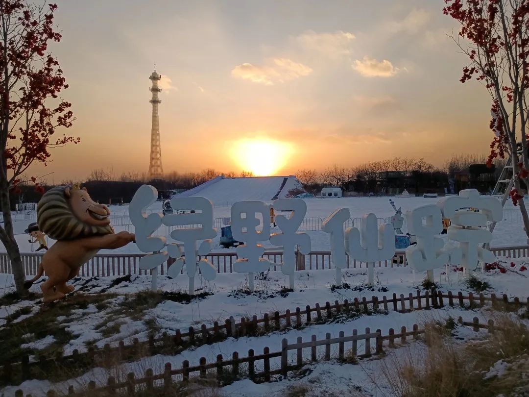 滑冰玩雪,滑冰场旅游