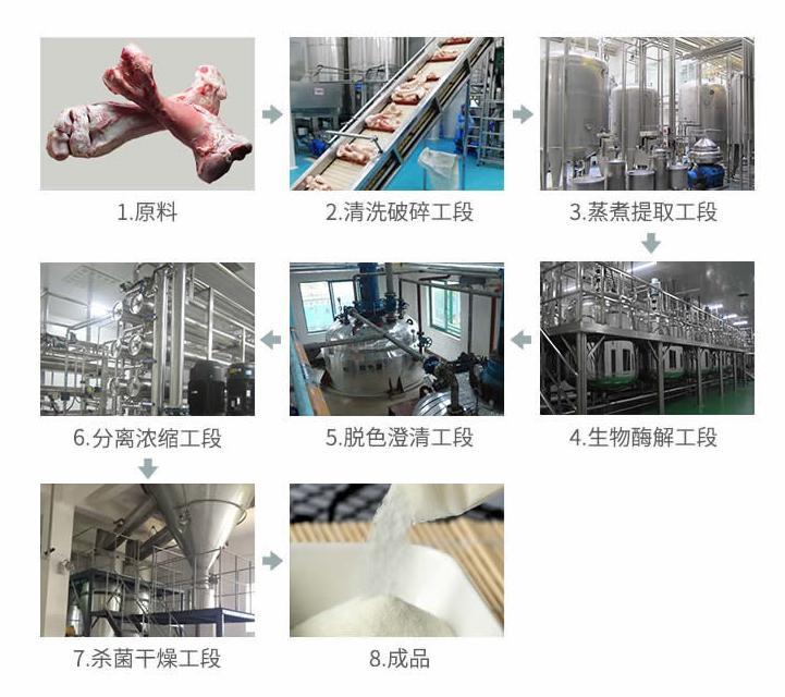 北京蛋白肽提取生产线设备供应商,浙江蛋白肽生产线技术研发