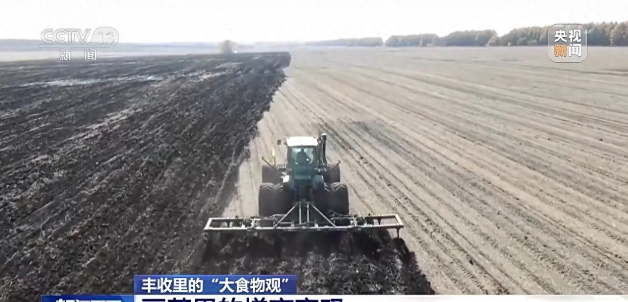 庄稼丰收但无人收割,庄稼丰收但无人收割来自什么俗话