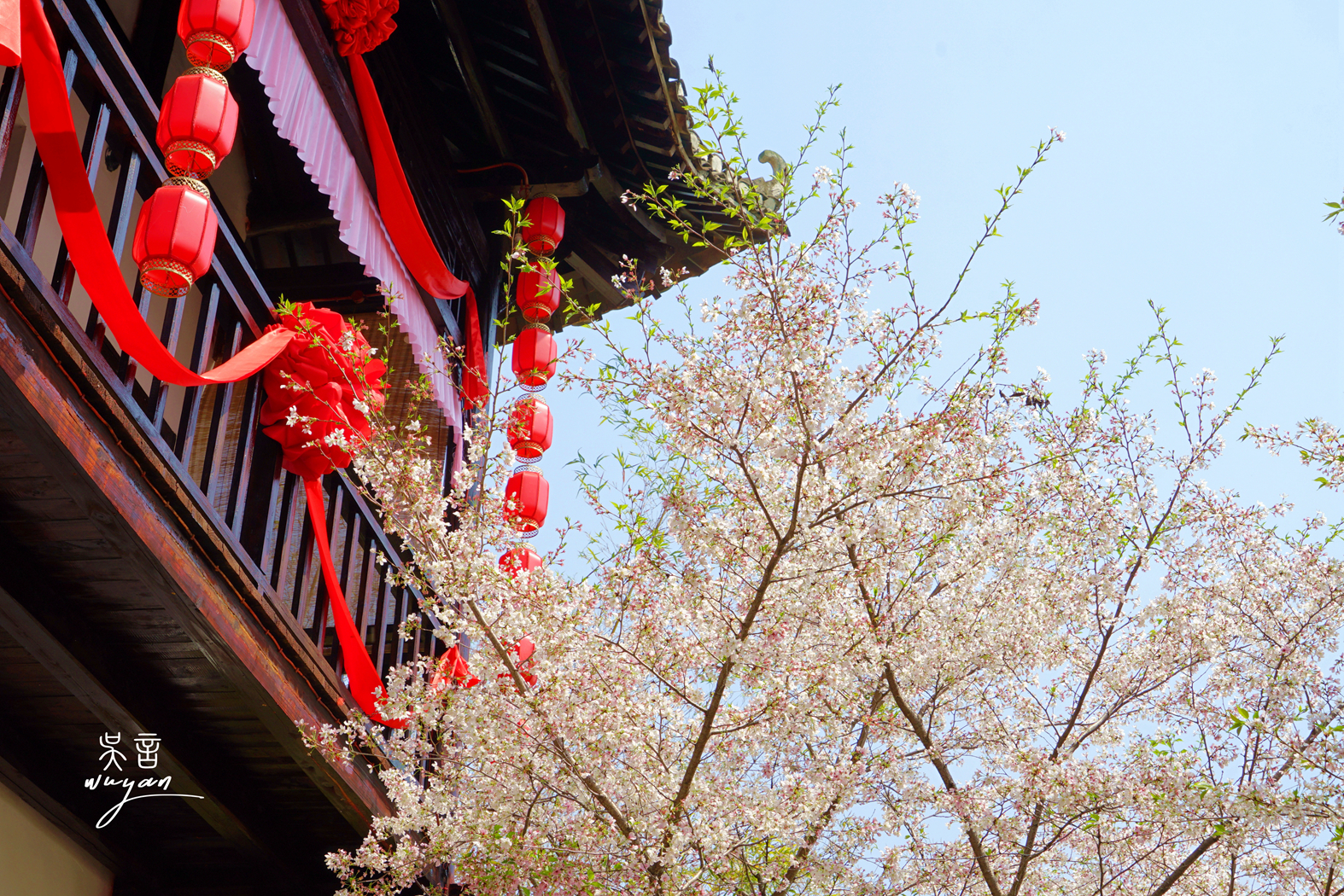 武汉看樱花半日游,武汉看樱花一日游
