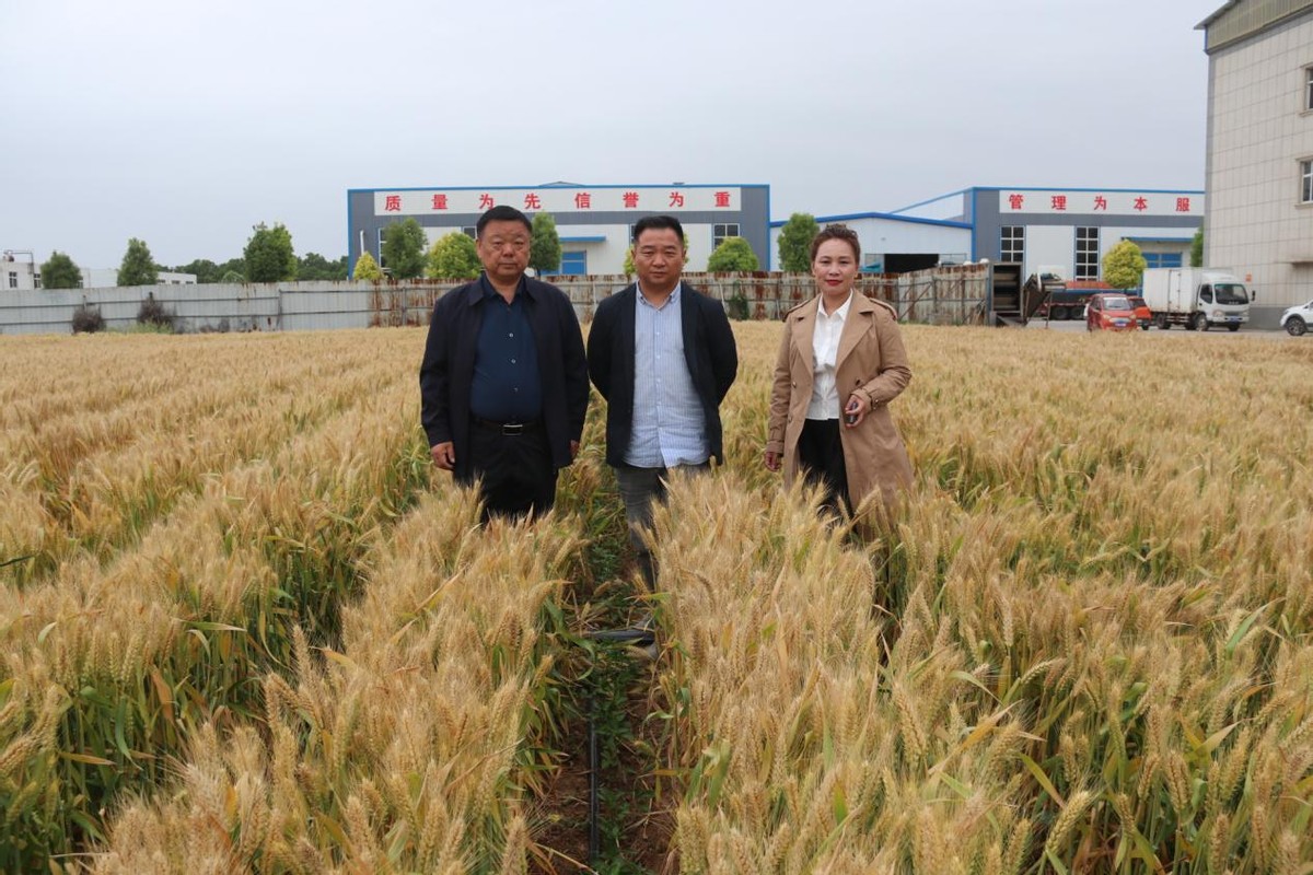 荣莉莱农业技术服务,河南荣莉莱商贸有限公司