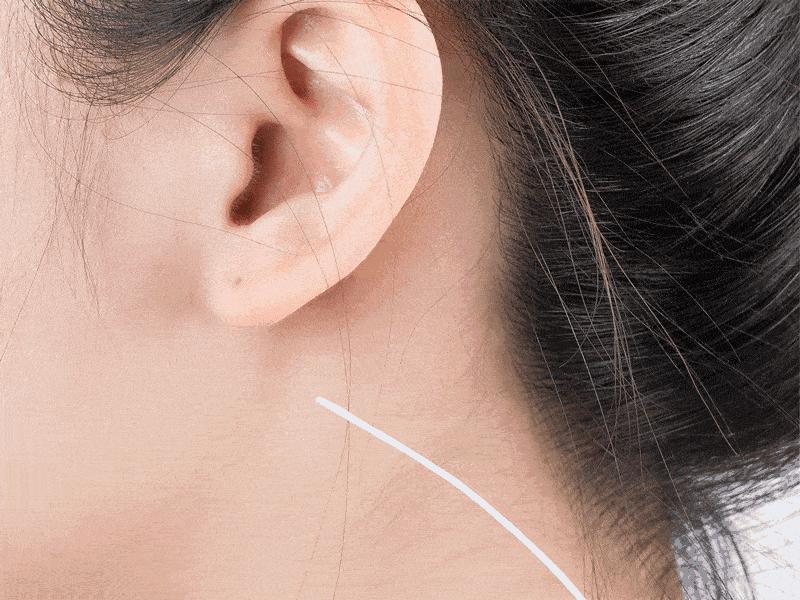 在牛身上掏个洞牛不会痛吗,牛为什么会在身上打洞