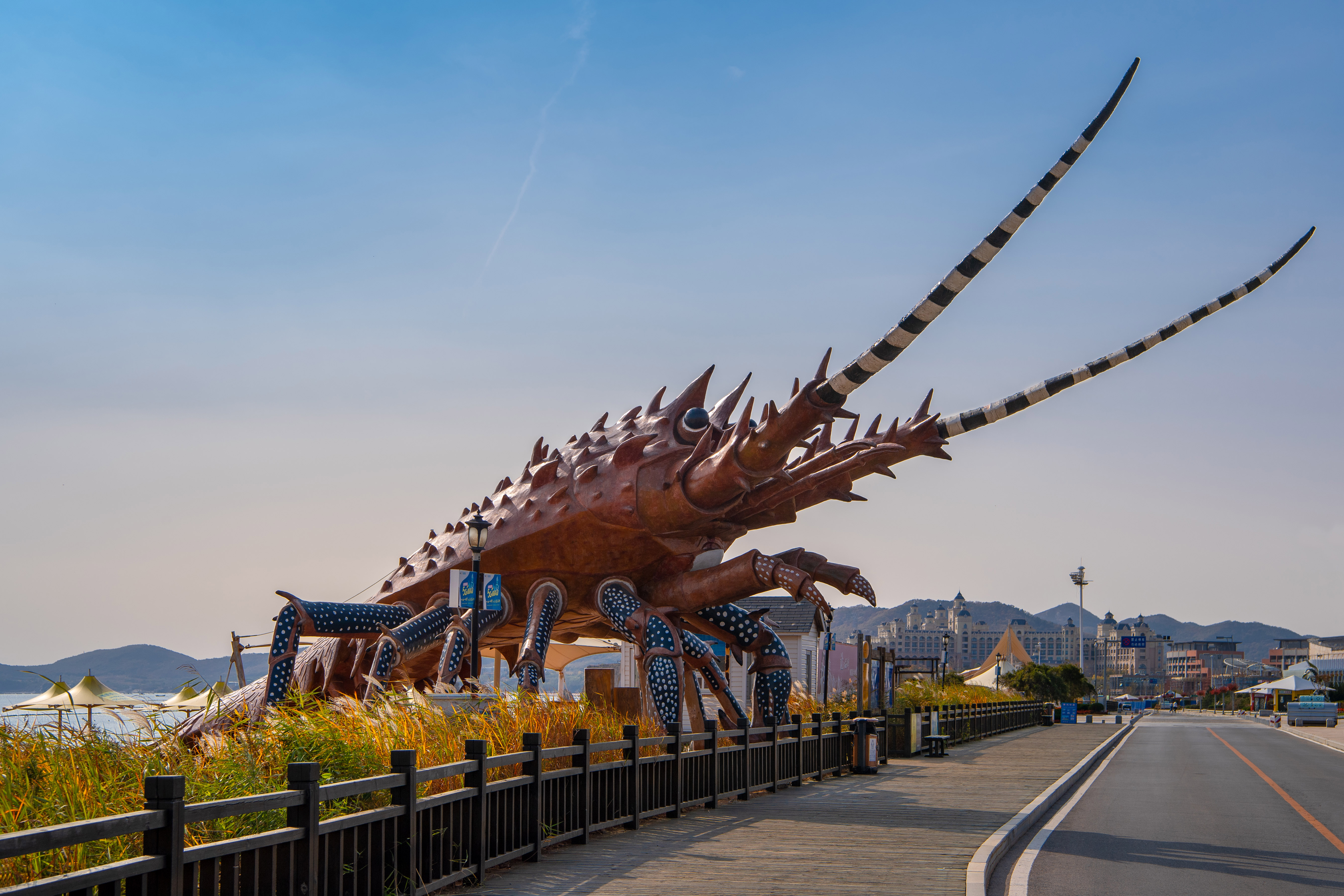 老许游记大全,老许游记第四天完整版